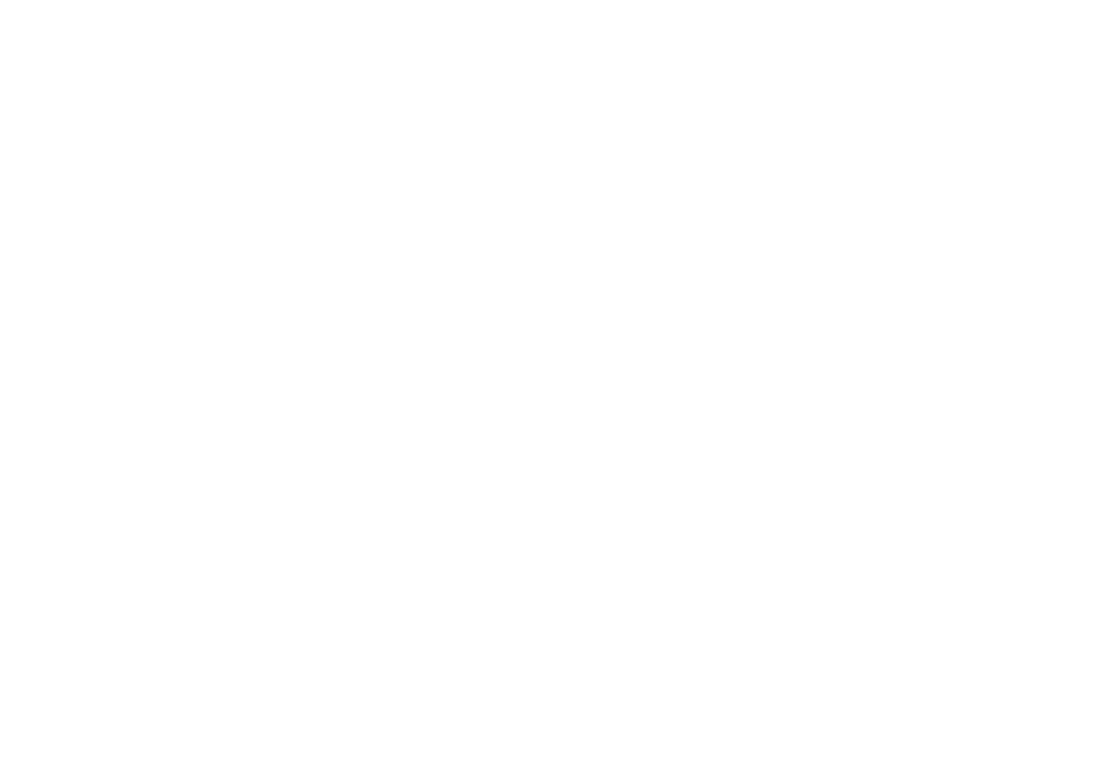 SoTe consulting